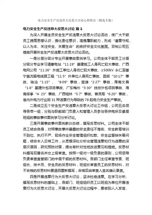 电力安全生产反违章大反思大讨论心得体会（精选5篇）