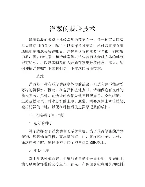 洋葱的栽培技术