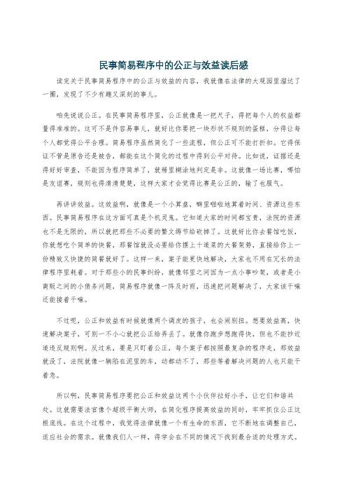 民事简易程序中的公正与效益读后感