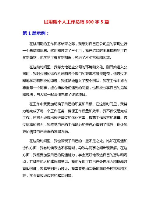试用期个人工作总结600字5篇