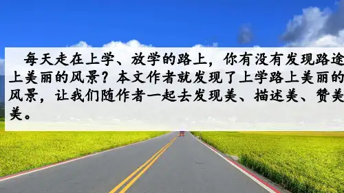 5.《铺满金色巴掌的水泥道》课件(共49张PPT).ppt