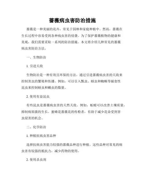 蔷薇病虫害防治措施
