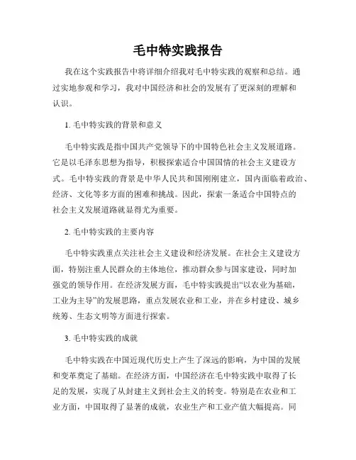 毛中特实践报告