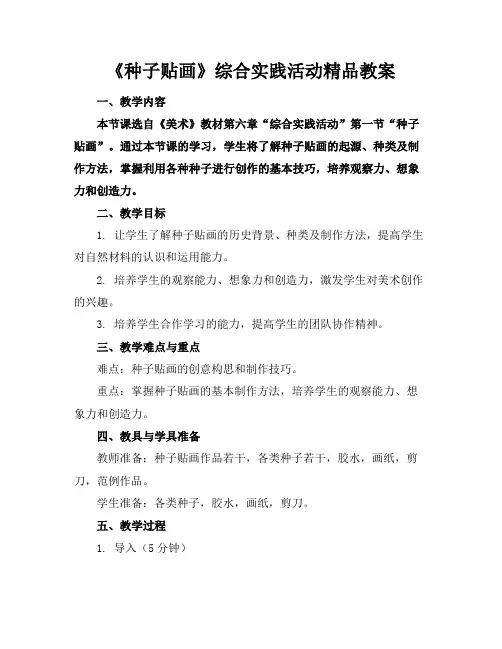 《种子贴画》综合实践活动精品教案