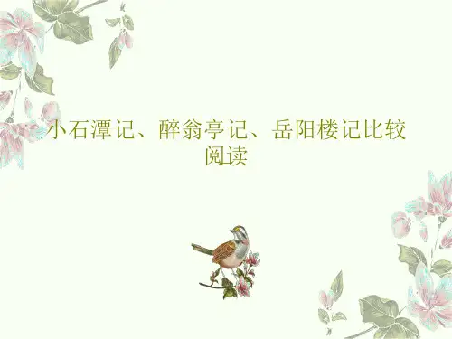 小石潭记、醉翁亭记、岳阳楼记比较阅读共19页