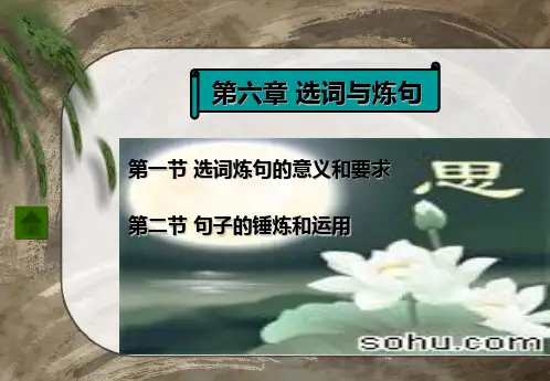 6选词与炼句