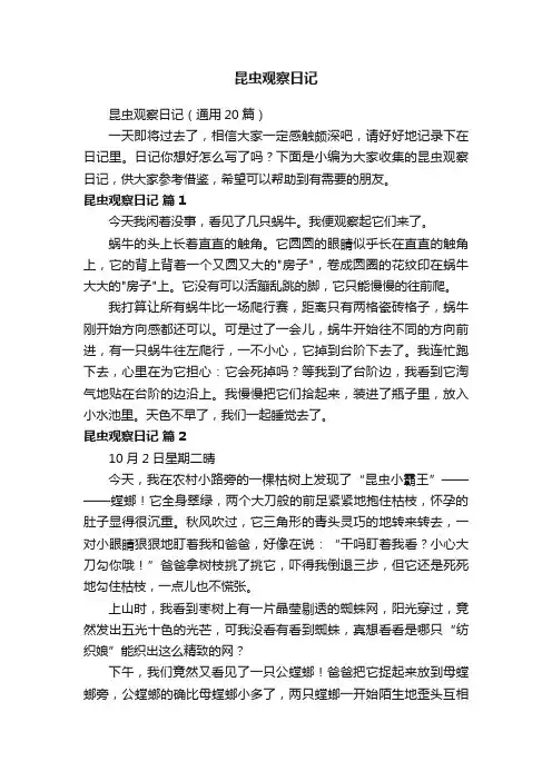 昆虫观察日记