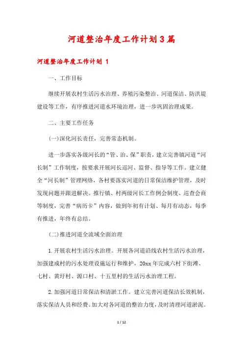 河道整治年度工作计划3篇