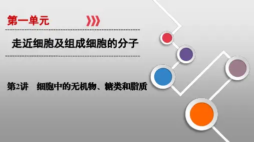 第2讲 细胞中的无机物、糖类和脂质