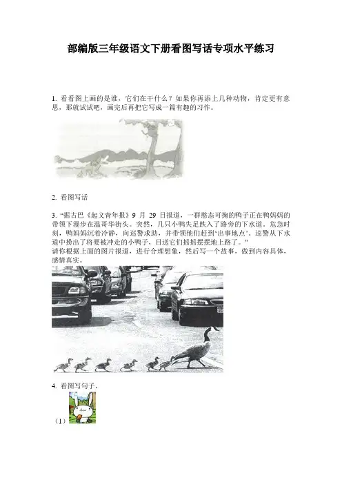 小学三年级语文下册看图写话专项水平练习·部编版(人教)