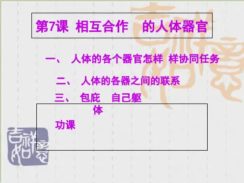 教科小学科学四上《4.7、相互协作的人体器官》PPT课件(3)[精选](共6张PPT)