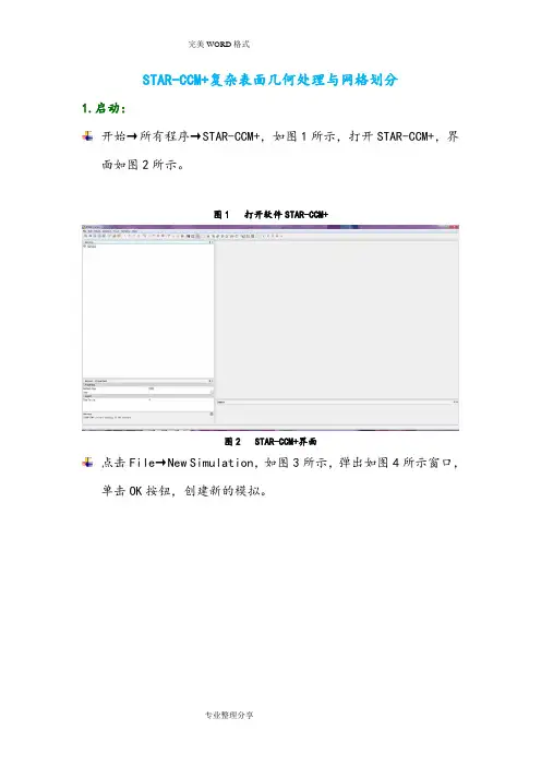 STAR_CCM+复杂表面几何处理及网格划分
