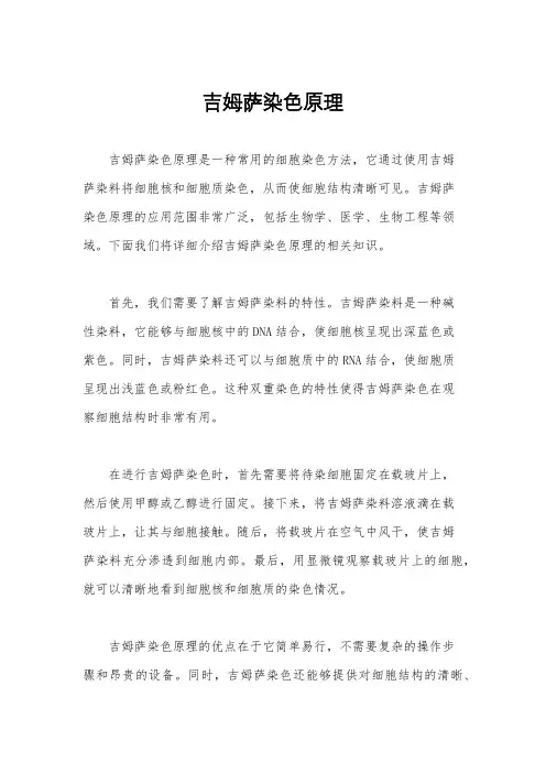 吉姆萨染色原理