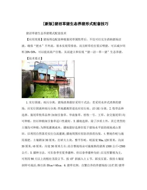 [新版]猪沼草猪生态养猪形式配套技巧