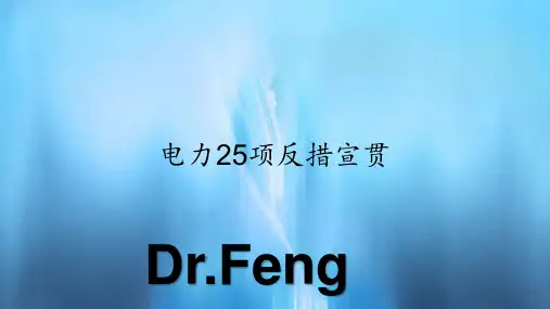 电力25项反措宣贯(PPT课件)