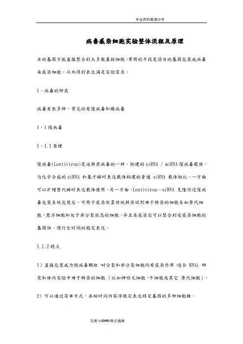 病毒感染细胞实验整体流程和原理