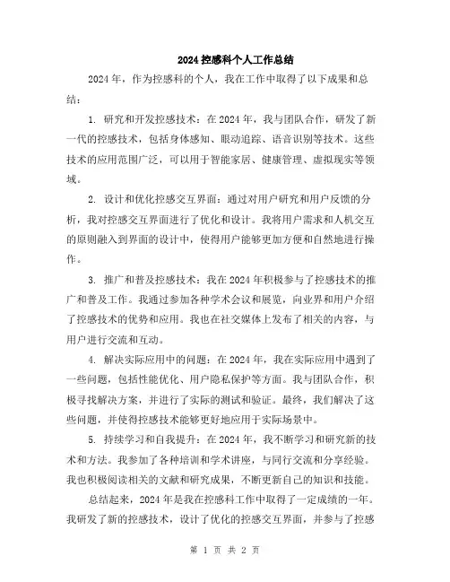 2024控感科个人工作总结