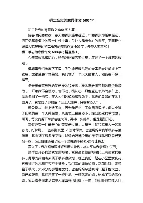初二难忘的寒假作文600字