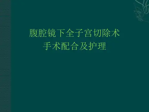 腹腔镜下全子宫切除术