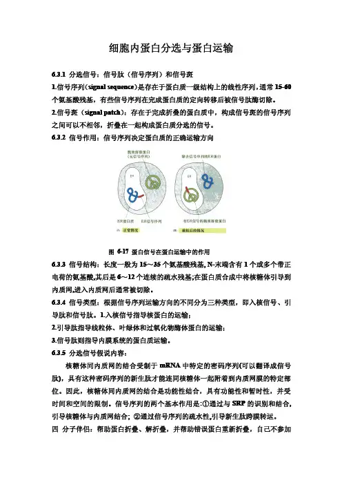 细胞内蛋白分选与蛋白运输