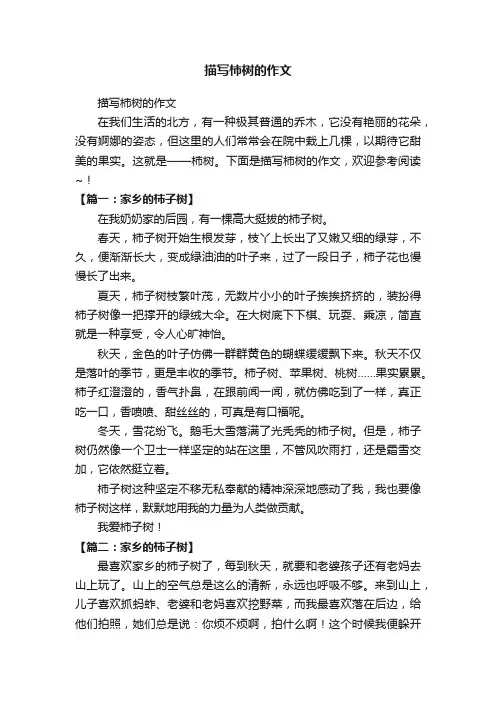 描写柿树的作文