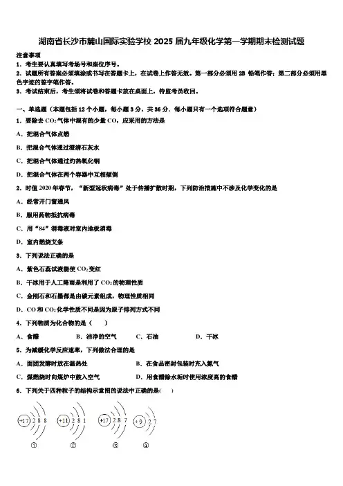 湖南省长沙市麓山国际实验学校2025届九年级化学第一学期期末检测试题含解析
