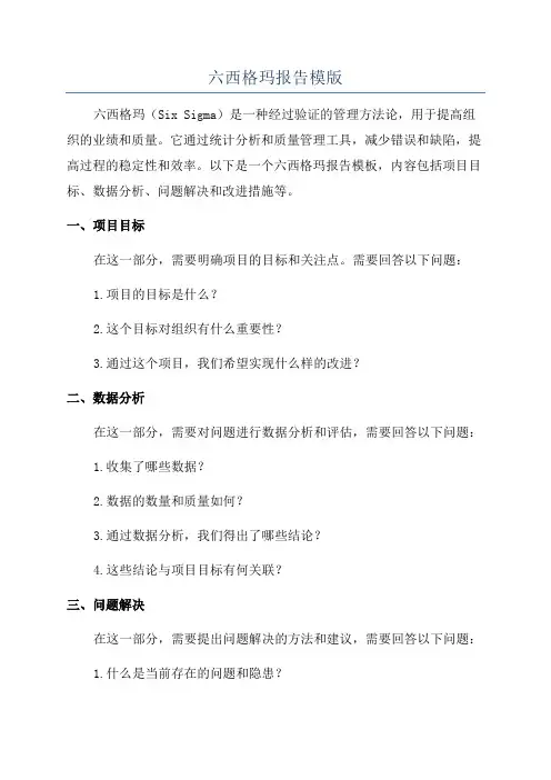 六西格玛报告模版