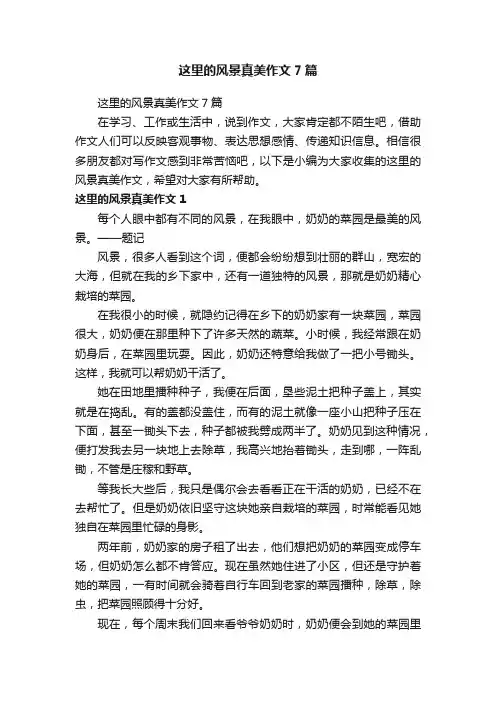 这里的风景真美作文7篇