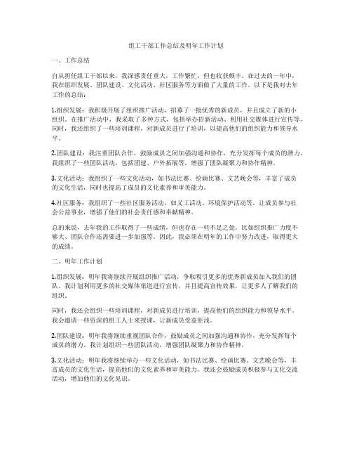 组工干部工作总结及明年工作计划