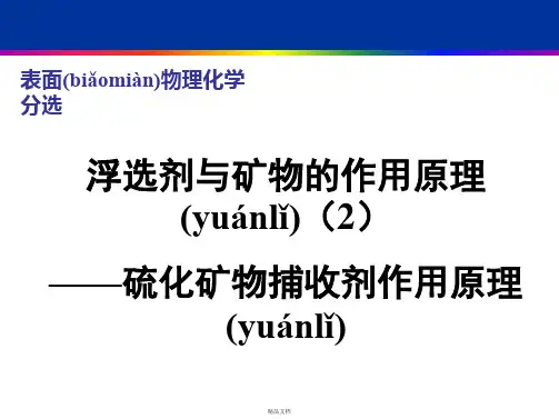 矿物浮选第5章浮选剂(作用原理(2)