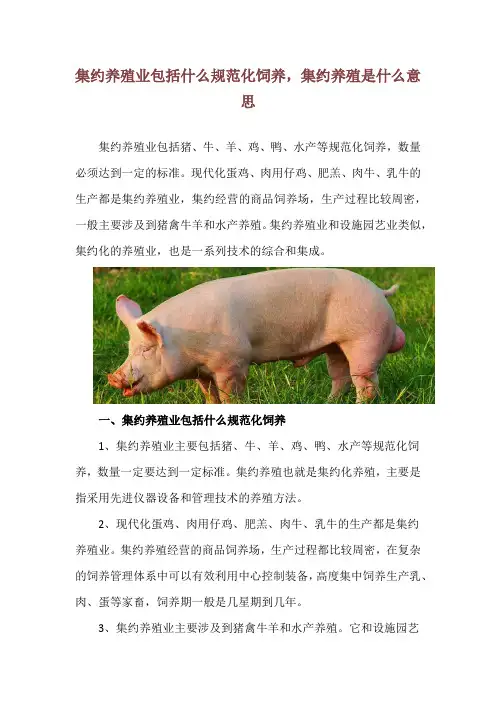 集约养殖业包括什么规范化饲养,集约养殖是什么意思