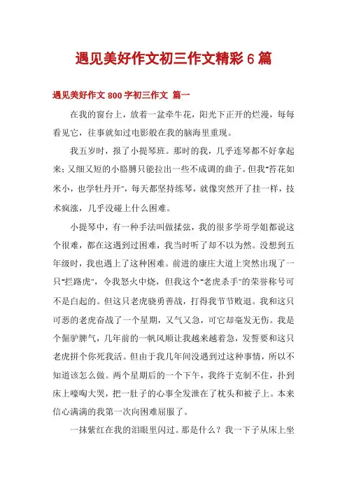 遇见美好作文初三作文精彩6篇