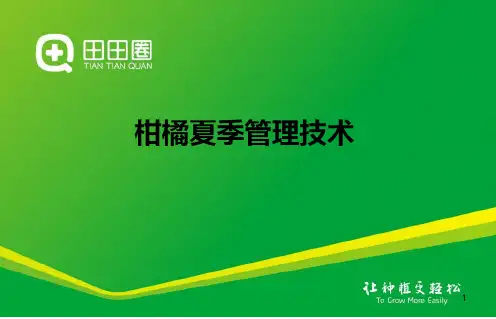 柑橘夏季栽培管理技术ppt课件