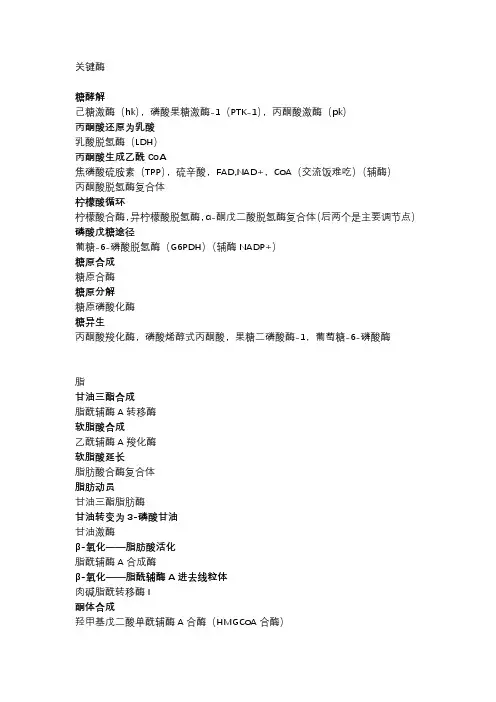 关键酶