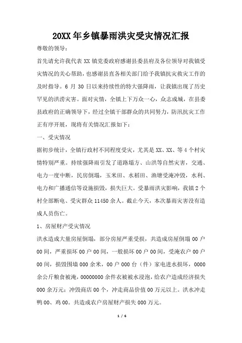 2019年乡镇暴雨洪灾受灾情况汇报