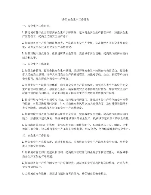 城管 安全生产工作计划