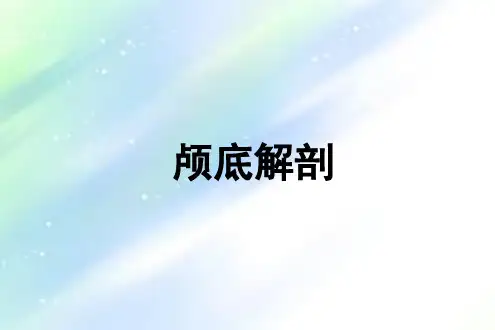 颅底解剖ppt