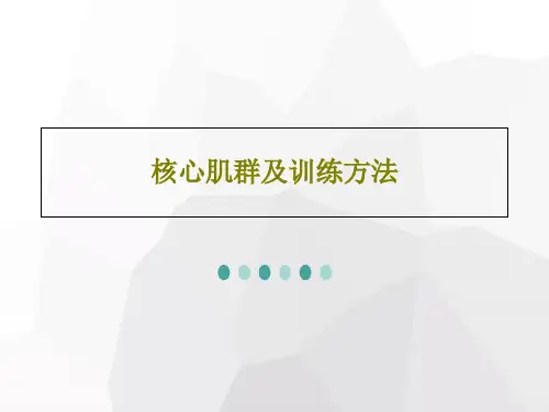 核心肌群及训练方法PPT37页