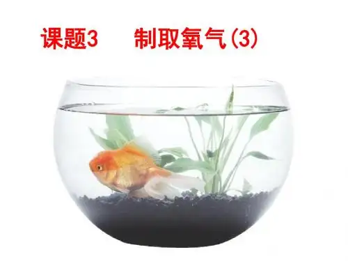 课题3制取氧气(第2,3课时)(人教版)