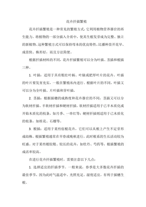 花卉扦插繁殖