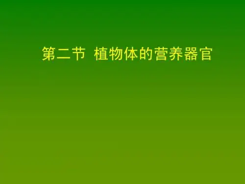 植物的营养器官