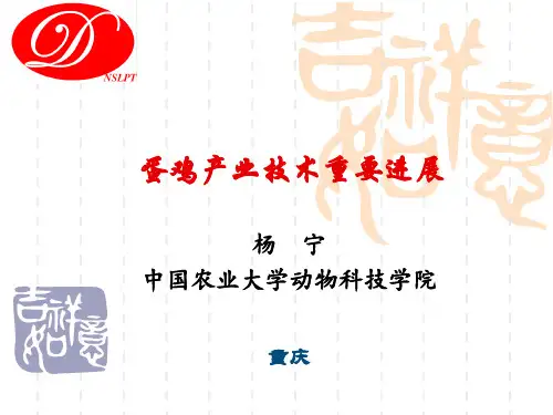 杨宁-蛋鸡产业技术重要进展PPT课件