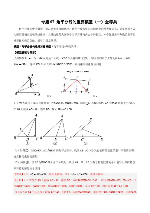 中考数学常见几何模型专题07 角平分线的基本模型(一)全等类(解析版)