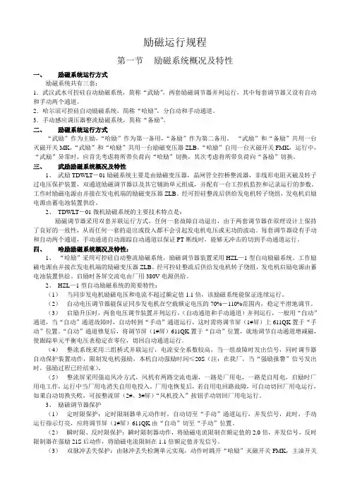 励磁运行规程