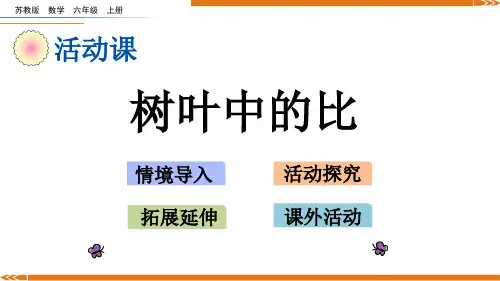 2024年新苏教版数学六年级上册3.14树叶中的比-课件