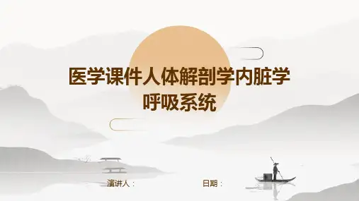 医学课件人体解剖学内脏学呼吸系统