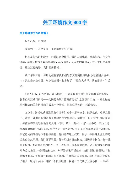 关于环境作文900字