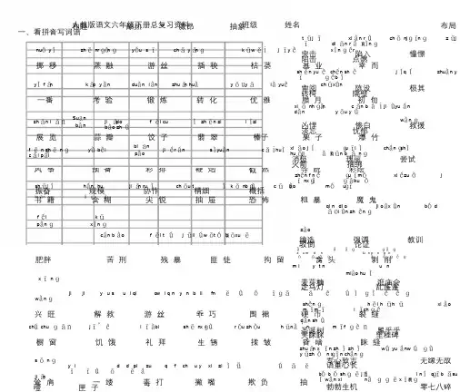 人教版语文六年级下册总复习资料