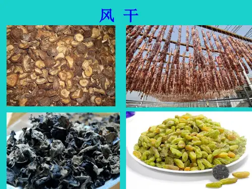 八年级生物上册 第五单元 第三章 第二节 食品保存技术 传统的食品保存方法课件 冀少版