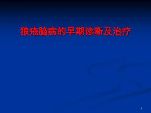 狼疮脑病的早期诊治精品PPT课件